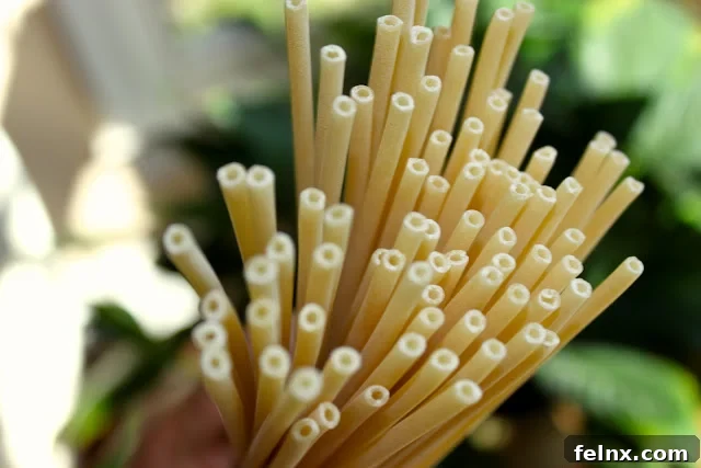 The unique shape of bucatini noodles