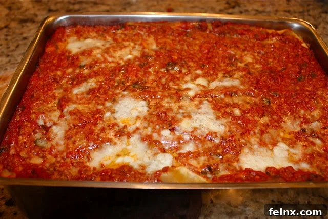 Large 4-Layer Lasagna