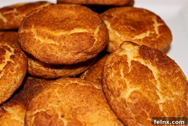Close-up of the texture of a cinnamon-sugar snickerdoodle