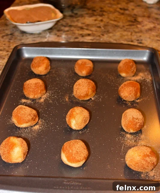 Balls of cookie dough rolled in cinnamon sugar