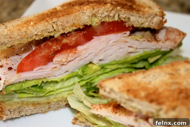 Close-up of Turkey and Avocado Sandwich