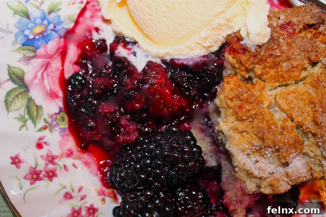 Homemade Blackberry Cobbler