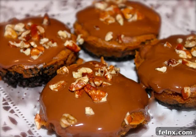 Nutella and Pumpkin Mini Cheesecake Bites