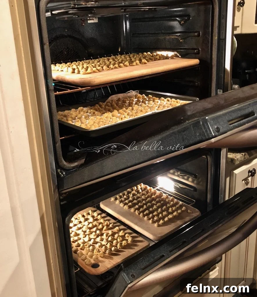 Drying tortellini in an open oven
