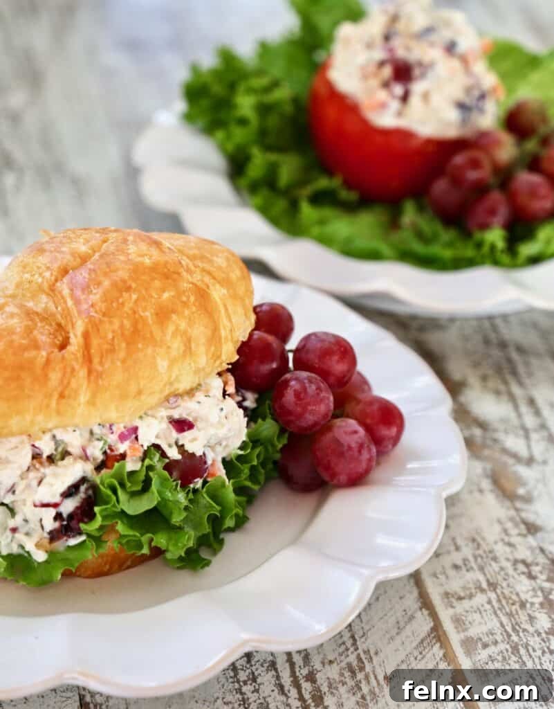 The Best Chicken Salad with Dried Cranberries and Grapes