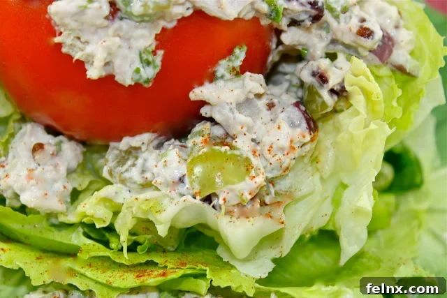 Autumn Chicken Salad Platter