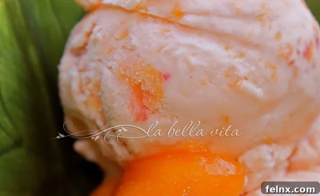 Close up of peach ice cream showing fruit chunks