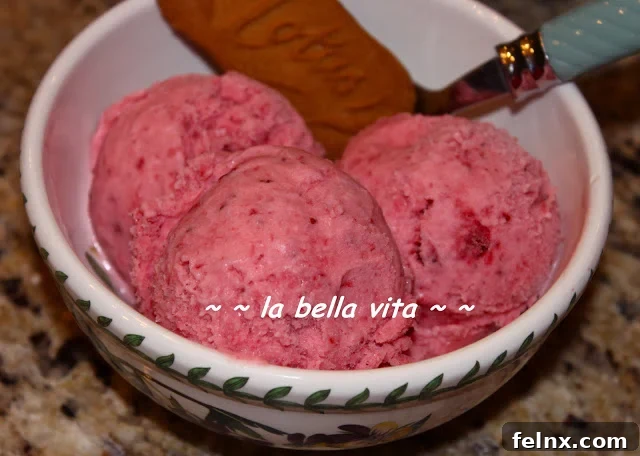 Homemade Fresh Strawberry Ice Cream