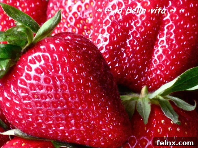 Freshly Picked Strawberries for Ice Cream