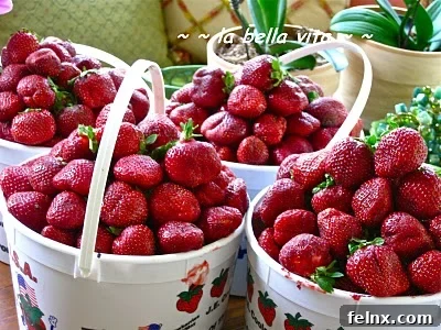 Large Basket of Red Strawberries