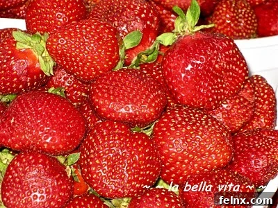 Washing and Preparing Strawberries