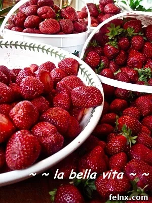 Clean Strawberries Ready for Slicing