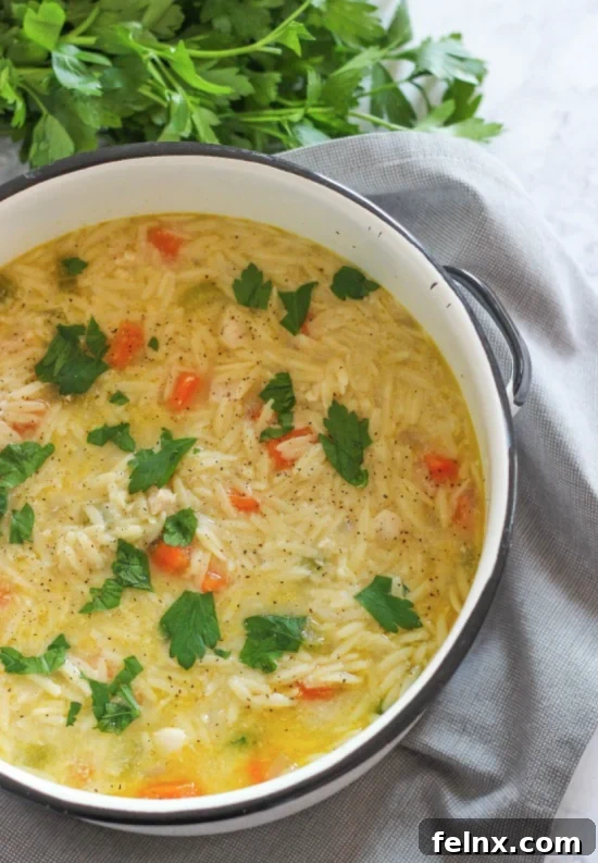 Chicken orzo soup