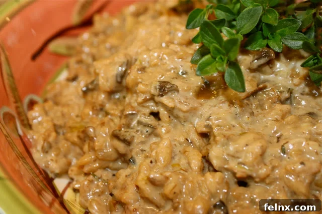 Creamy Porcini Mushroom Risotto served in a bowl