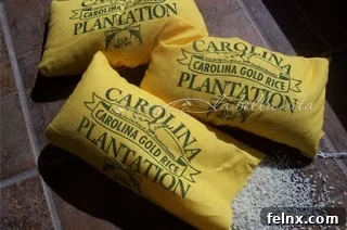 Golden Rice Grains