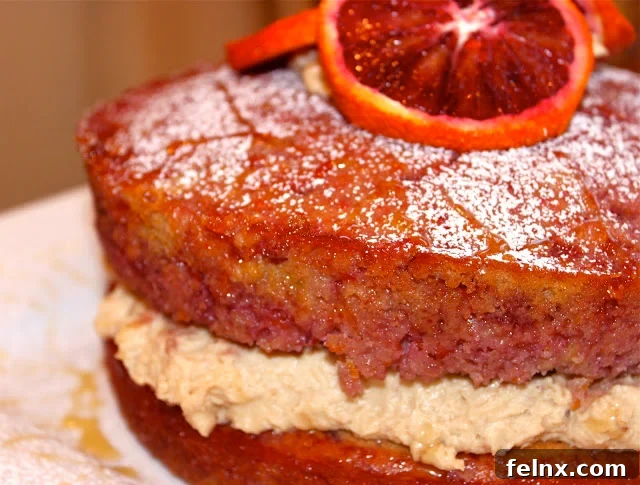 Blood Orange Polenta Cake with Mascarpone Filling