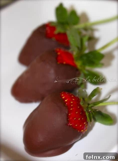 Chocolate Dipped Strawberries Recipe Image