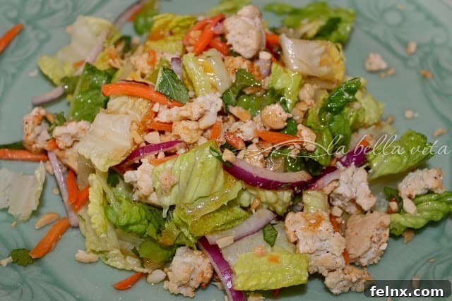 Thai Chicken Laab Salad Thumbnail