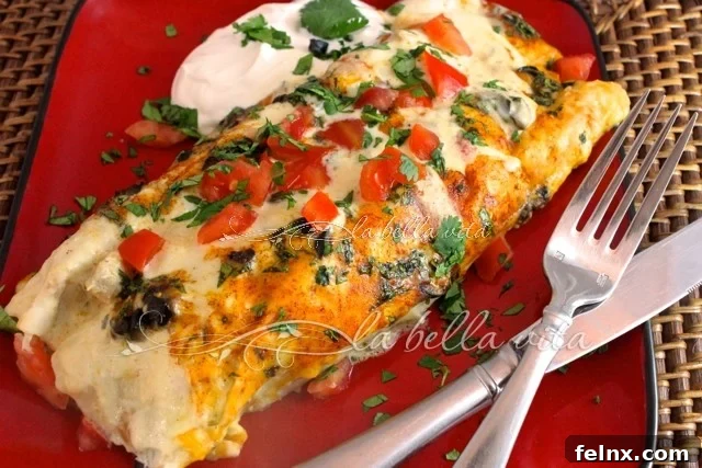 Chicken Enchiladas with Cheese