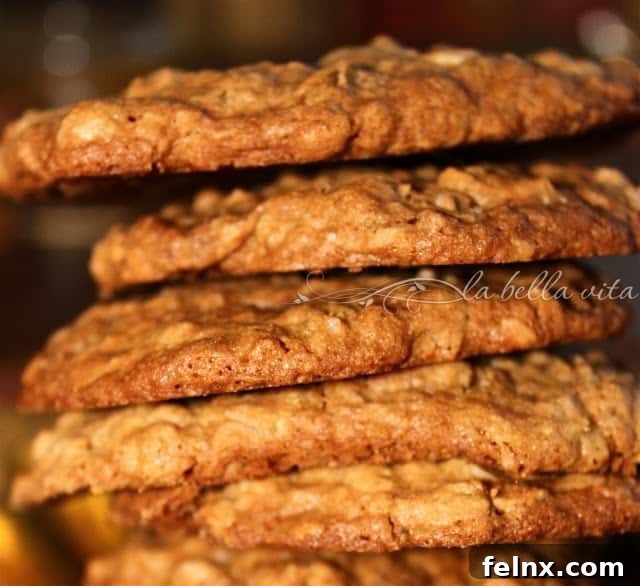 Cinnamon Toffee Praline Oatmeal Cookies