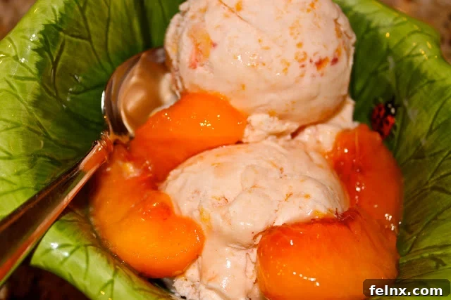 Fresh Peach Ice Cream in a bowl