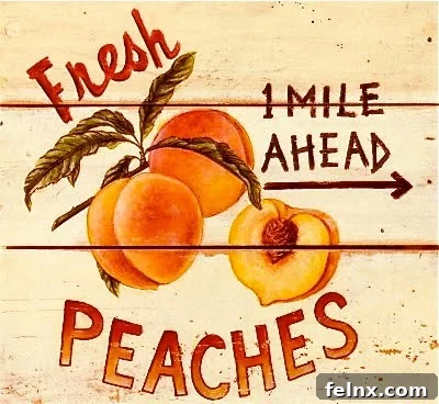 A basket of fresh Georgia peaches