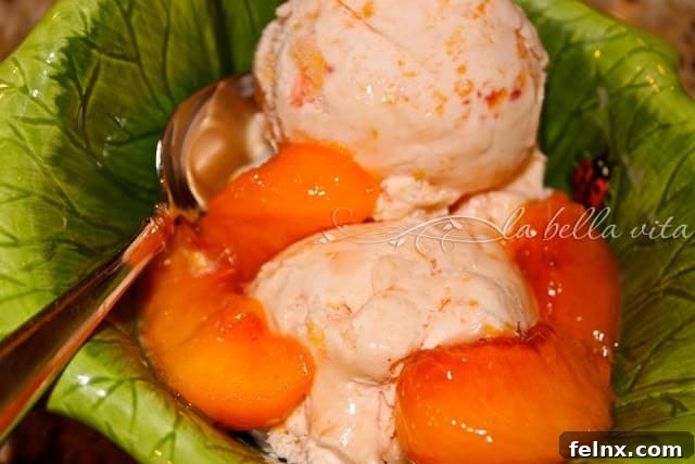Fresh Peach Ice Cream Recipe