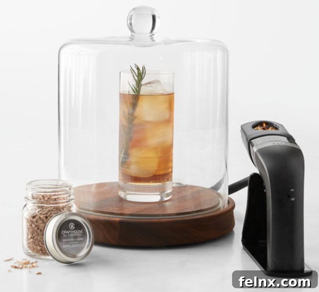 Cocktail Smoker Cloche
