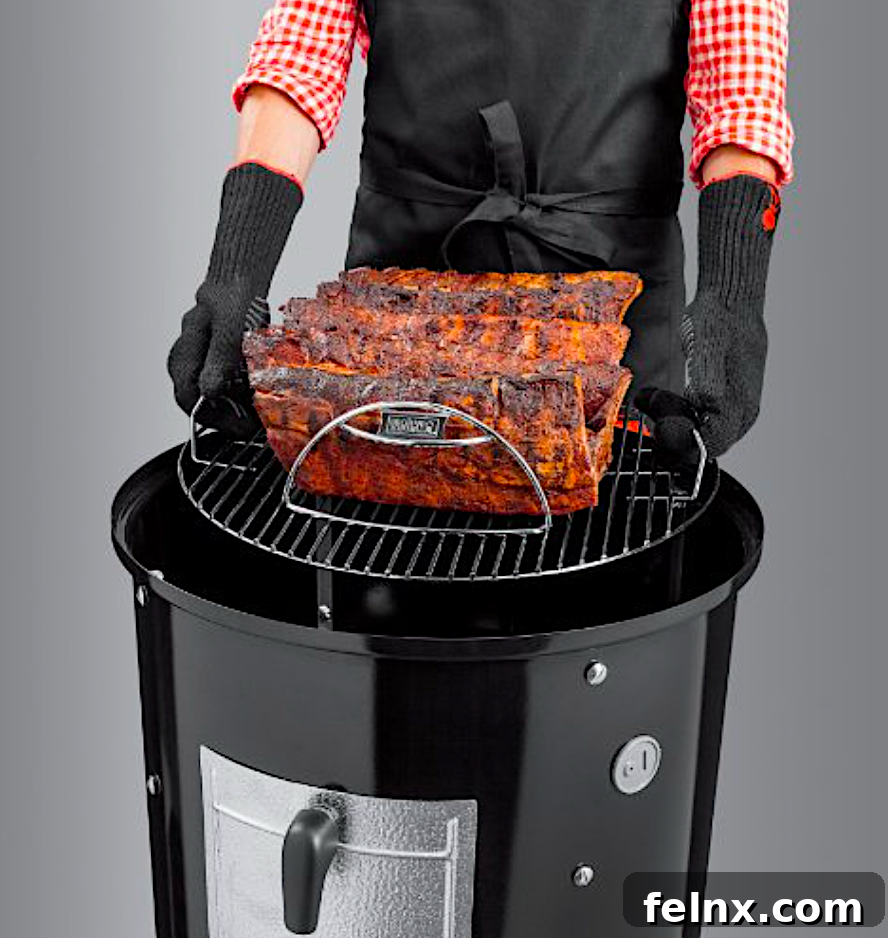 Weber Smokey Mountain Smoker