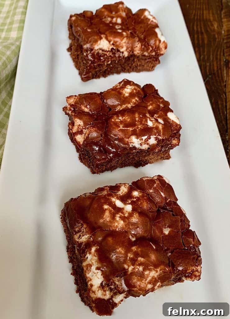 Ooey, Gooey Mississippi Mud Cake on a plate