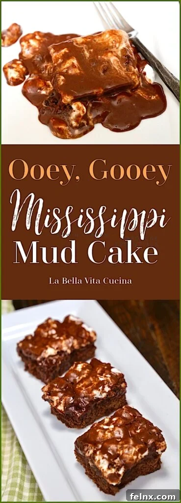 Mississippi Mud Cake slice close up