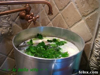 Fresh Parsley in Pot