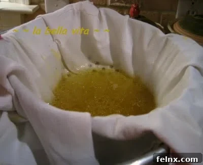 Clarified Chicken Broth