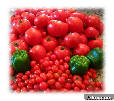 A variety of fresh tomatoes on a table