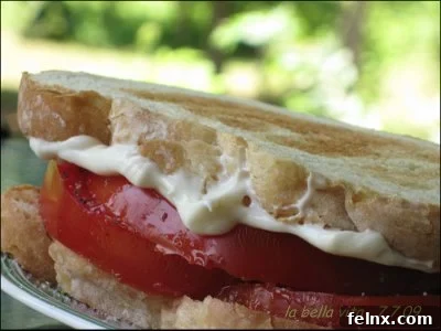 Classic tomato sandwich on white bread