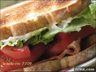 Bacon Lettuce and Tomato sandwich
