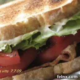 Classic Tomato Sandwich
