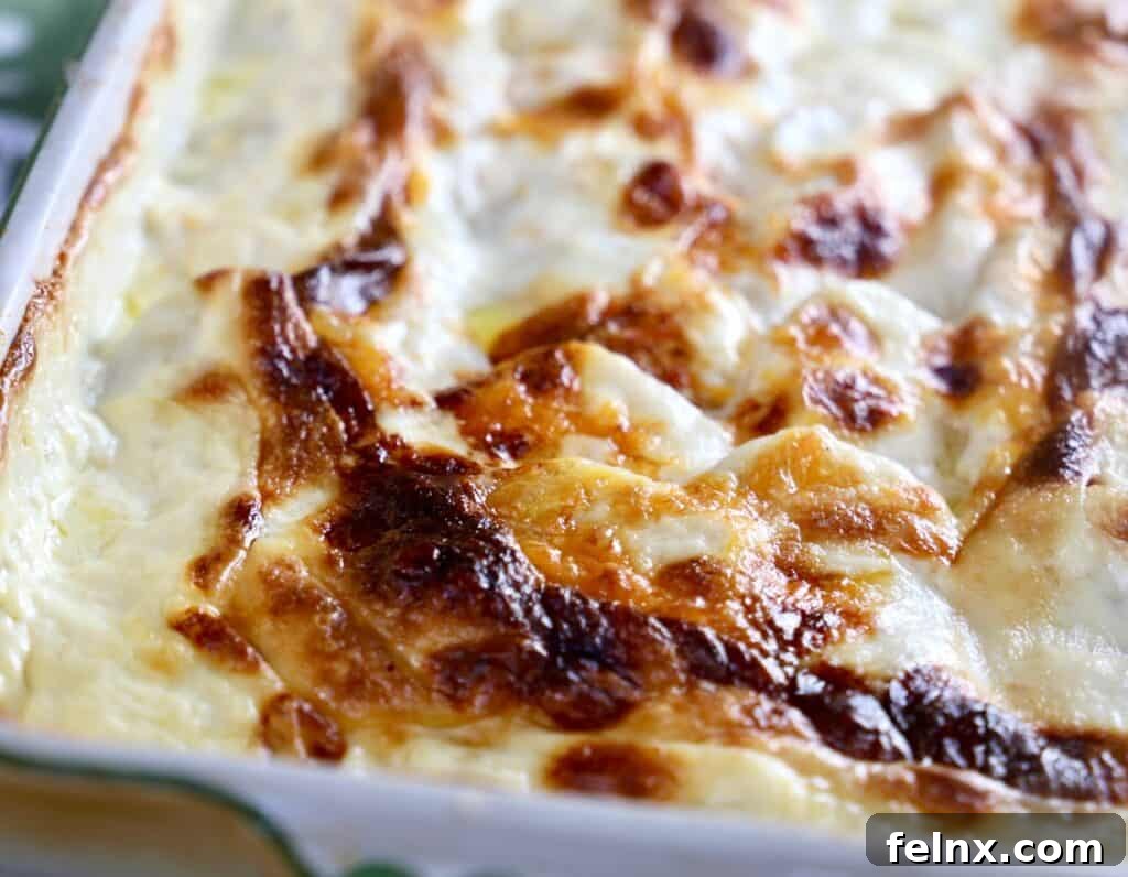 Golden brown cheesy potatoes