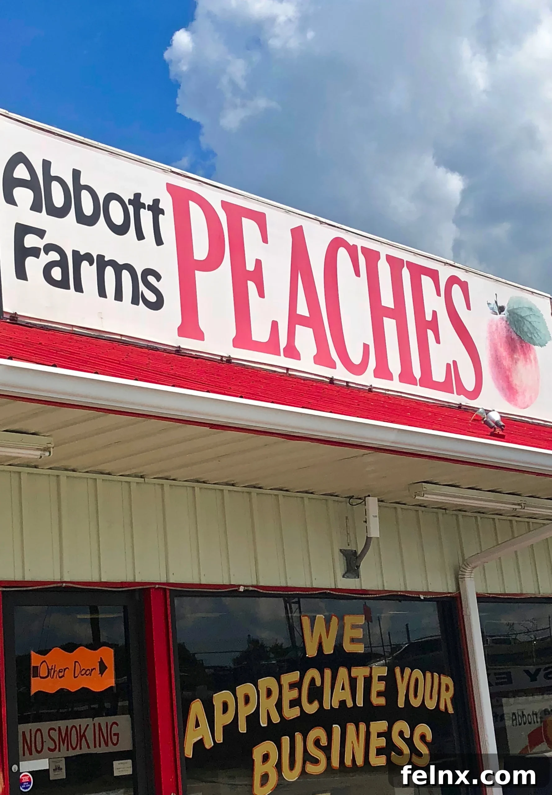 Fresh South Carolina Peaches in a Basket