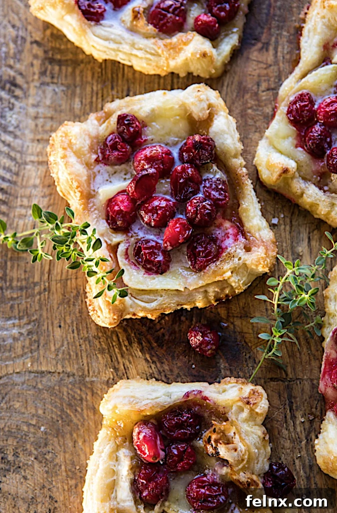 Cranberry Brie Pastry Tarts