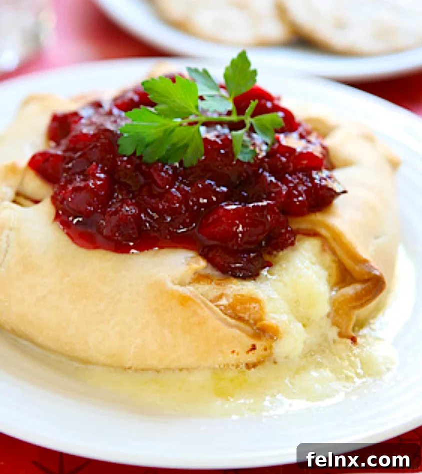 Baked Brie with Cranberry Chutney