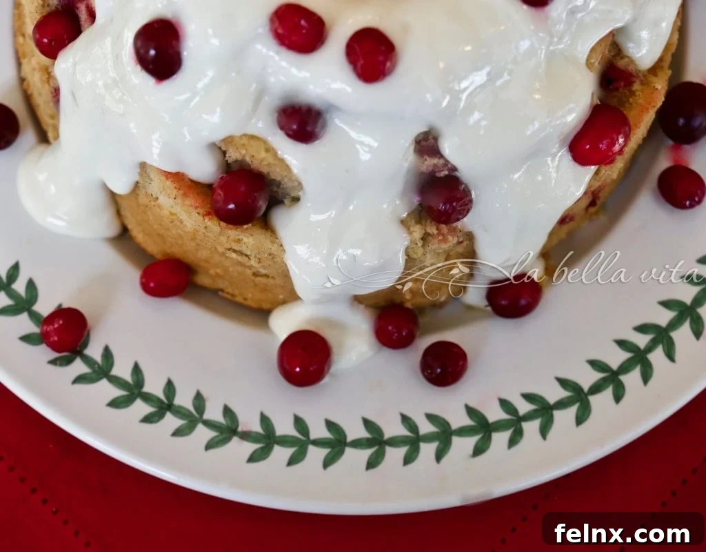 Italian Cranberry and Orange Bundt Cake