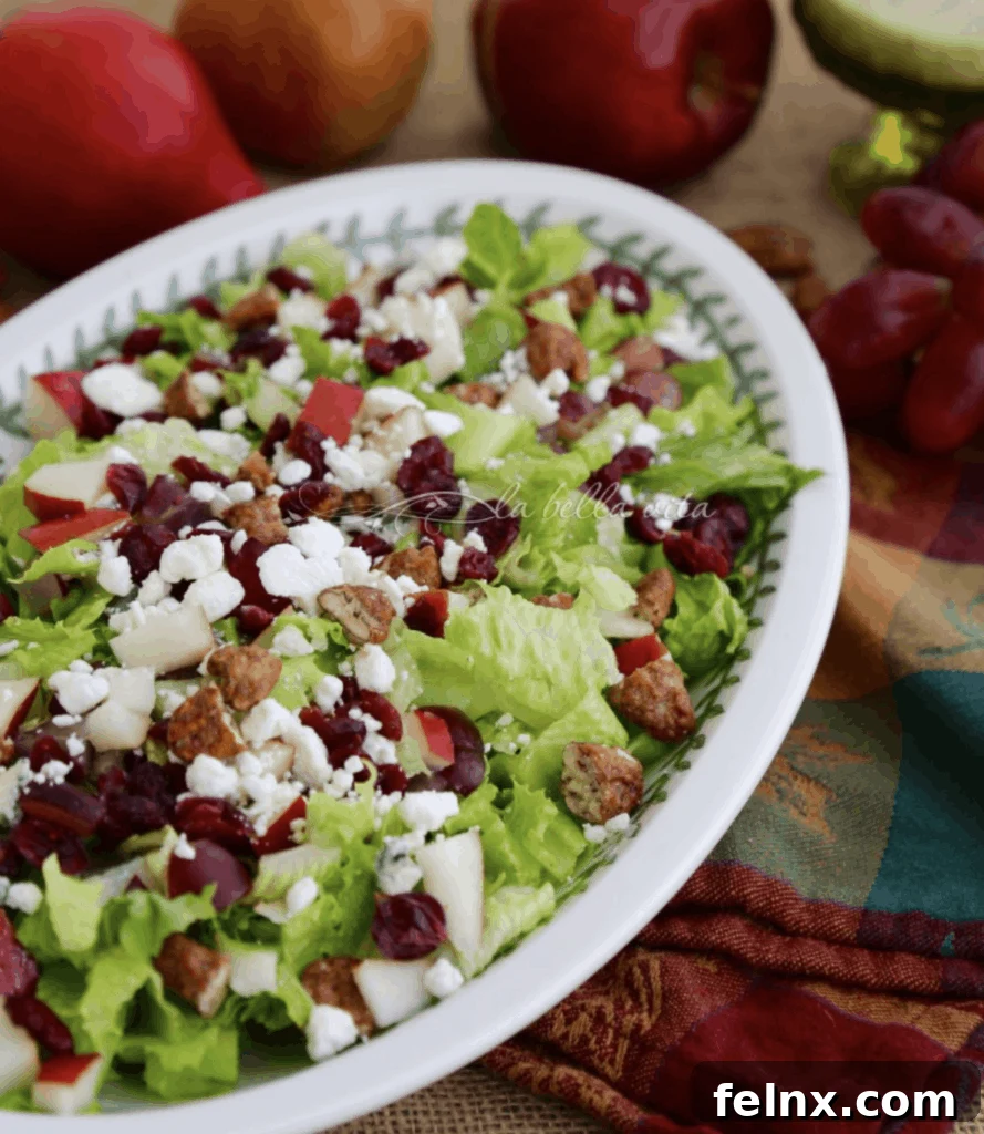 Autumn Chopped Salad with Dried Cranberries