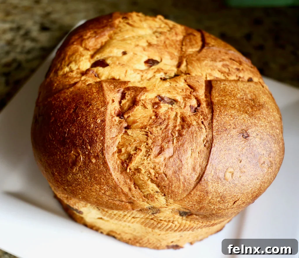Slicing the Panettone