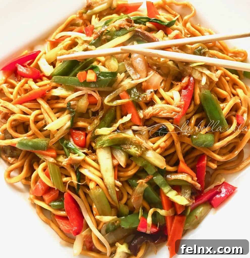 Traditional Chinese Lo Mein with Vegetables