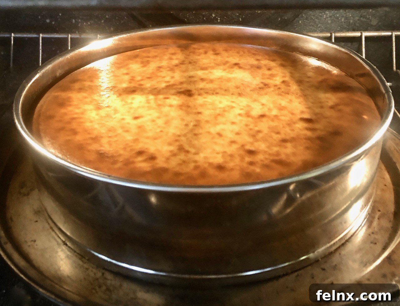 Cheesecake after 12 minutes of high heat