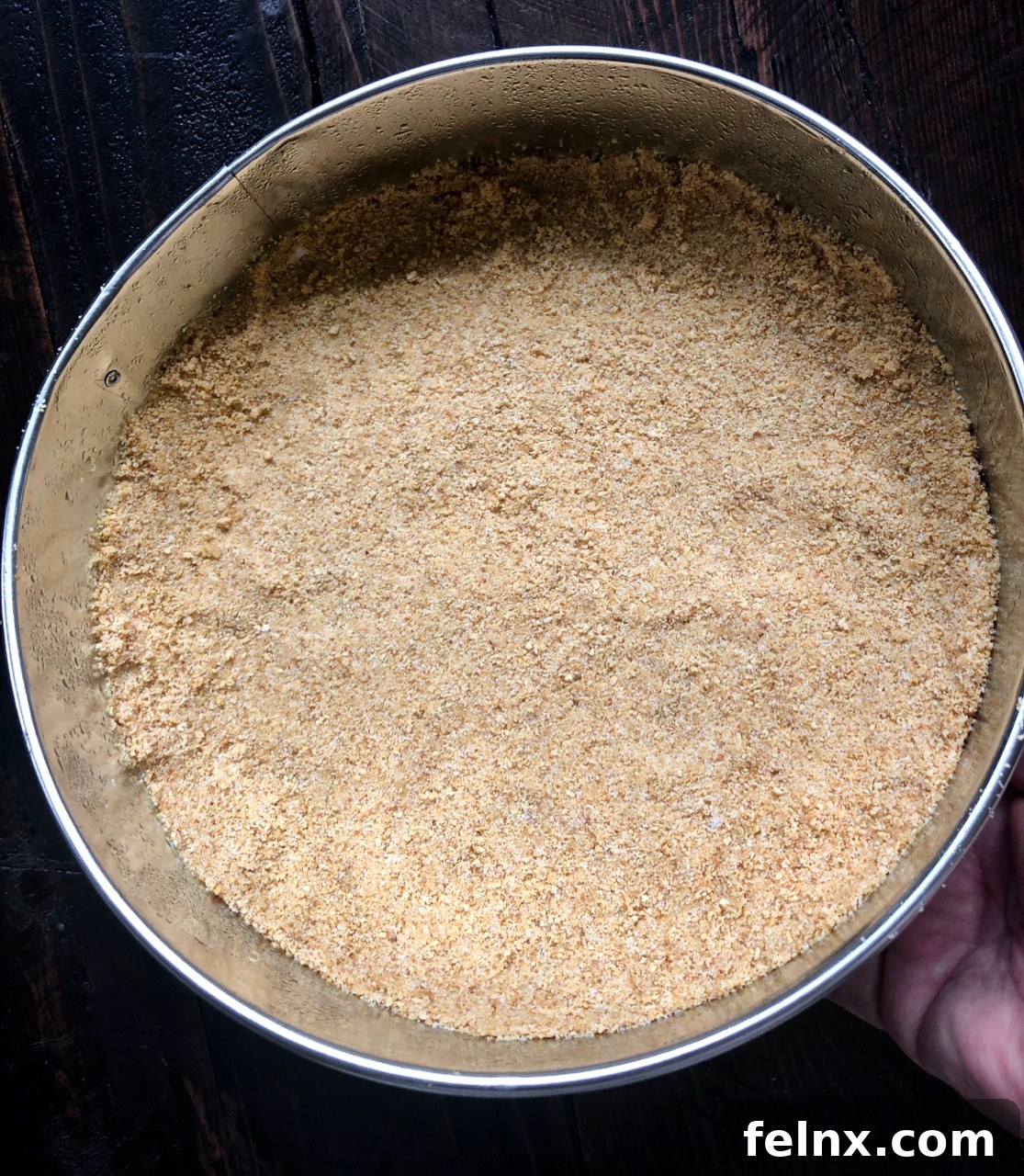 Graham cracker crust in a springform pan
