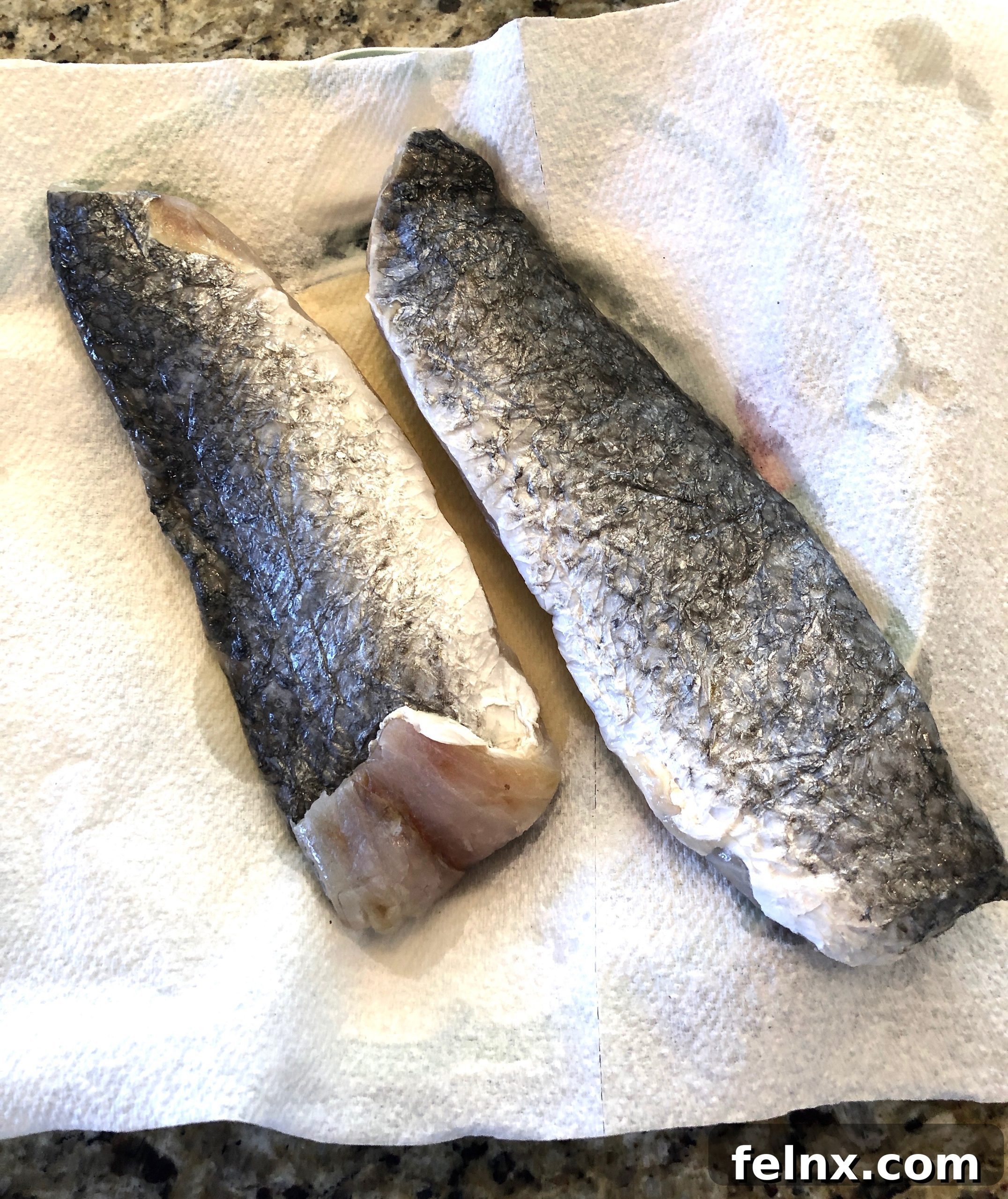 Drying Fish Fillets