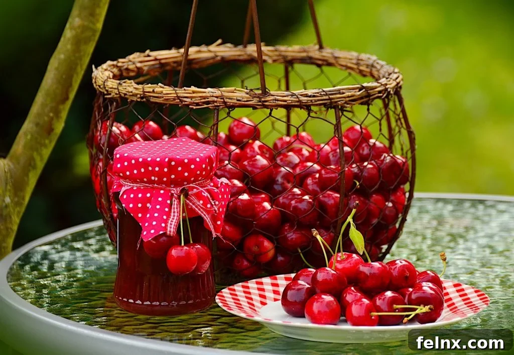 A basket of fresh cherries
