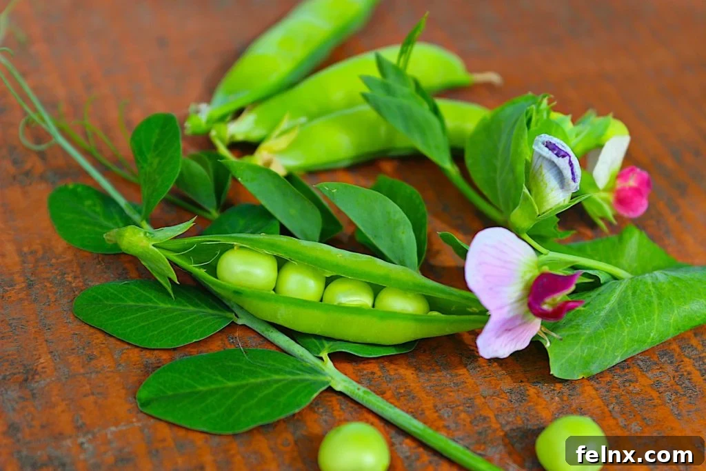fresh peas in a pod